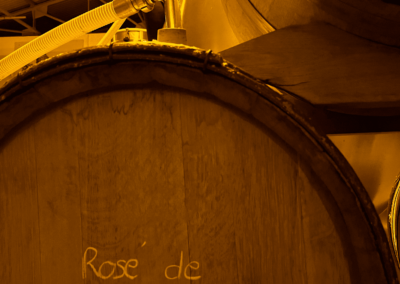 Rosé de Macération Elodie D Champagne Epernay